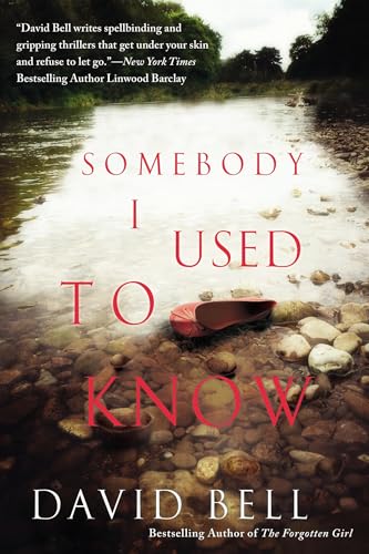 Somebody I used to know book cover