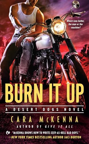Burn It Up book cover