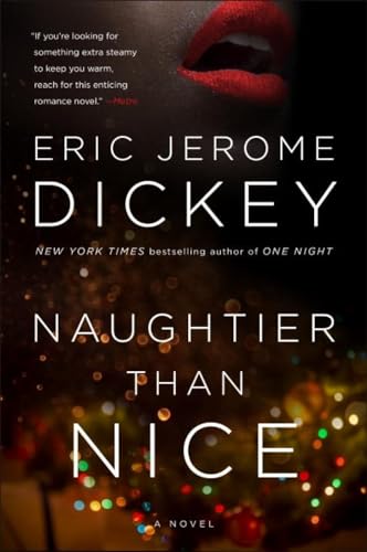 Naughtier Than Nice book cover