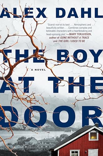 The Boy at the Door book cover