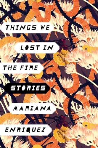 Things We Lost in the Fire book cover