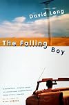 The Falling Boy: A Novel