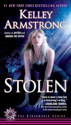 Stolen book cover