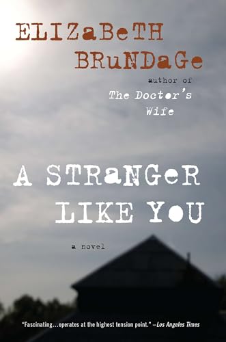 A Stranger Like You book cover