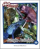 Amazon cover image