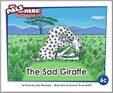 Amazon cover image