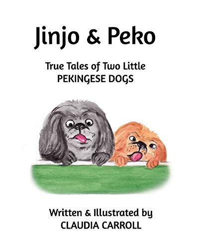 Jinjo & Peko cover