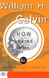 How Brains Think: Evolving Intelligence, Then and Now