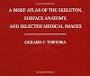 A Brief Atlas of the Skeleton, Surface Anatomy and Selected Medical Images