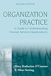 Organization practice : a guide to understanding human services