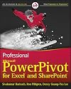 Professional Microsoft PowerPivot for Excel and SharePoint
