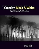 Creative Black And White Digital Photography Tips And Techniques