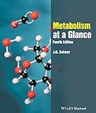 Metabolism At A Glance