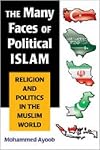 The Many Faces of Political Islam: Religion and Politics in the Muslim World
