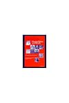 Human values and beliefs : a cross-cultural sourcebook : political, religious, sexual, and economic norms in 43 societies ; findings from the 1990-1993 world value survey