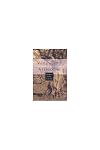 Vandals to Visigoths: Rural Settlement Patterns in Early Medieval Spain