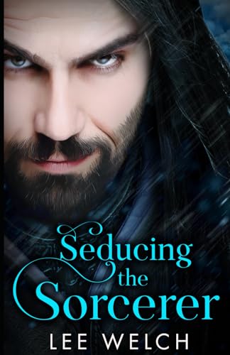 Seducing the Sorcerer book cover
