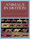 Animals in Motion