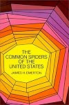 The Common Spiders of the United States