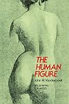 The Human Figure (Dover Anatomy for Artists)