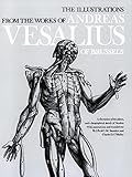 The Illustrations From The Works Of Andreas Vesalius Of Brussels Dover Fine Art History Of Art
