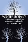 Winter Botany