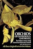 Orchids Of Guatemala And Belize