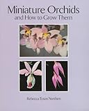 Miniature Orchids And How To Grow Them
