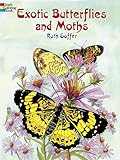 Exotic Butterflies And Moths