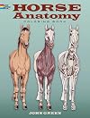 Horse Anatomy