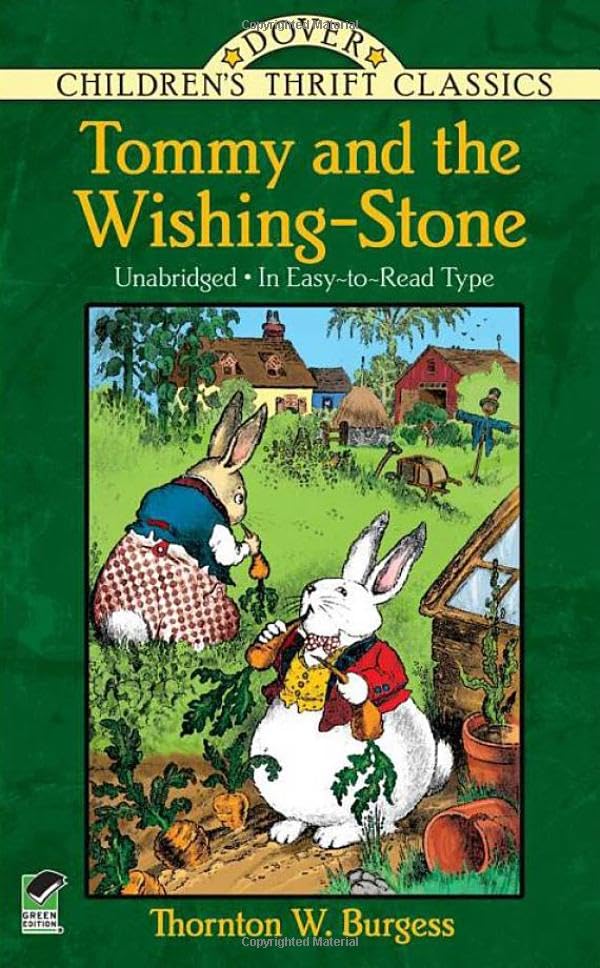 Tommy and the Wishing Stone book cover
