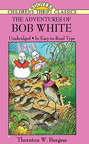 Cover of The adventures of Bob White