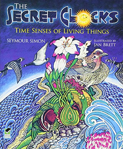 Cover of The secret clocks