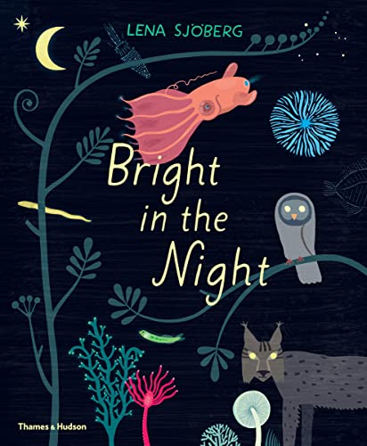 Cover of Bright in the Night