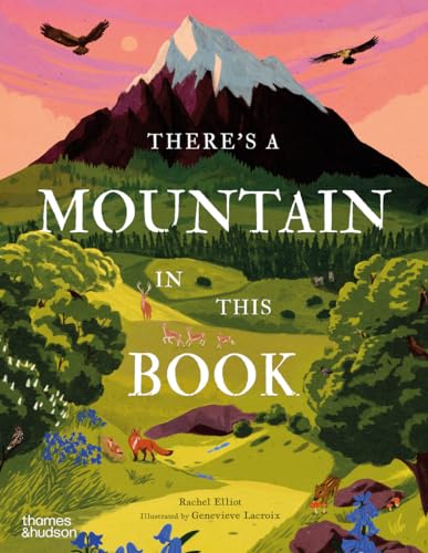 There's a mountain in this book / Rachel Elliot ; illustrated by Genevieve Lacroix