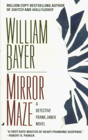 Mirror Maze book cover