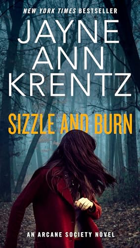 Sizzle and Burn book cover