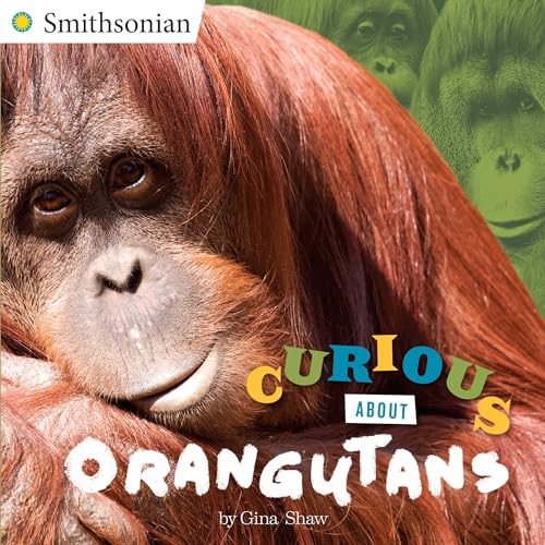Cover of Curious about Orangutans