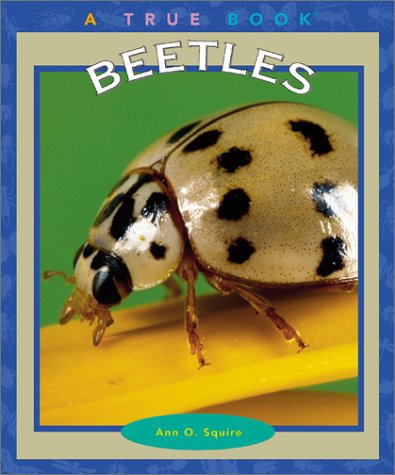 Beetles book cover