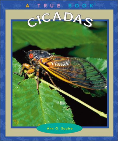 Cicadas book cover