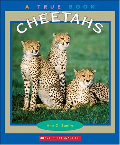 Cheetahs (By: Ann O. Squire) cover