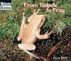 From Tadpole to Frog (Welcome Books: How Things Grow)