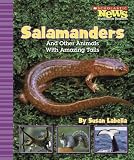 Amazon cover image