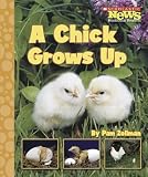 Amazon cover image
