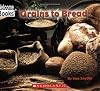 Grains to Bread (Welcome Books: How Things Are Made)