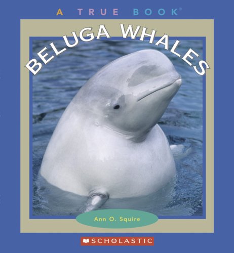 Beluga Whales book cover