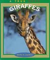 Giraffes (True Books: Animals)