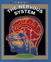 The Nervous System (True Books: Body Systems)