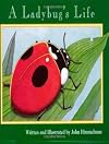A Ladybug's Life