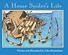 A House Spider's Life